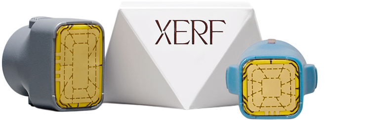 XERF_2row_img