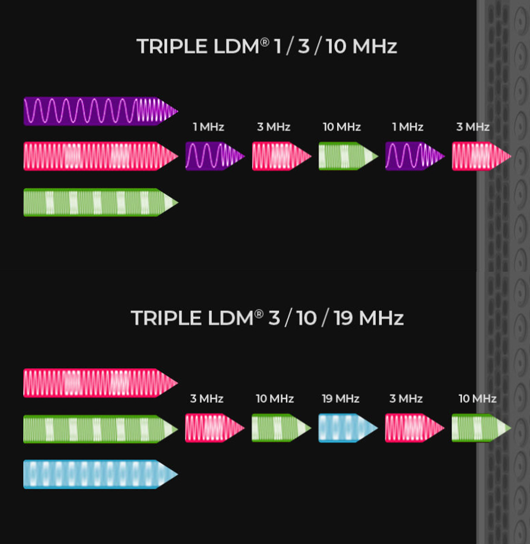 LDM1-53