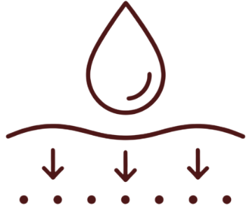 NOVASTEM_2row_icon_2