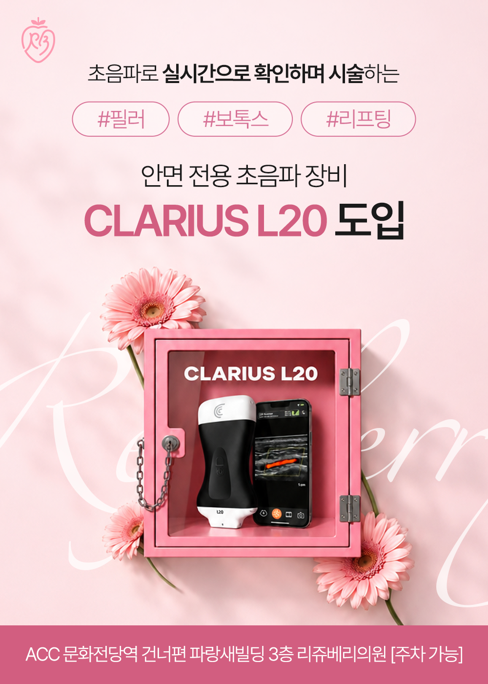 안면전용 초음파 도입